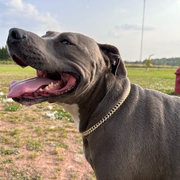 Meet your Posher, Adrianne! - Picture 12 of 16